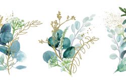 florale-illustration