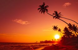 sonnenuntergang-tropischer-strand